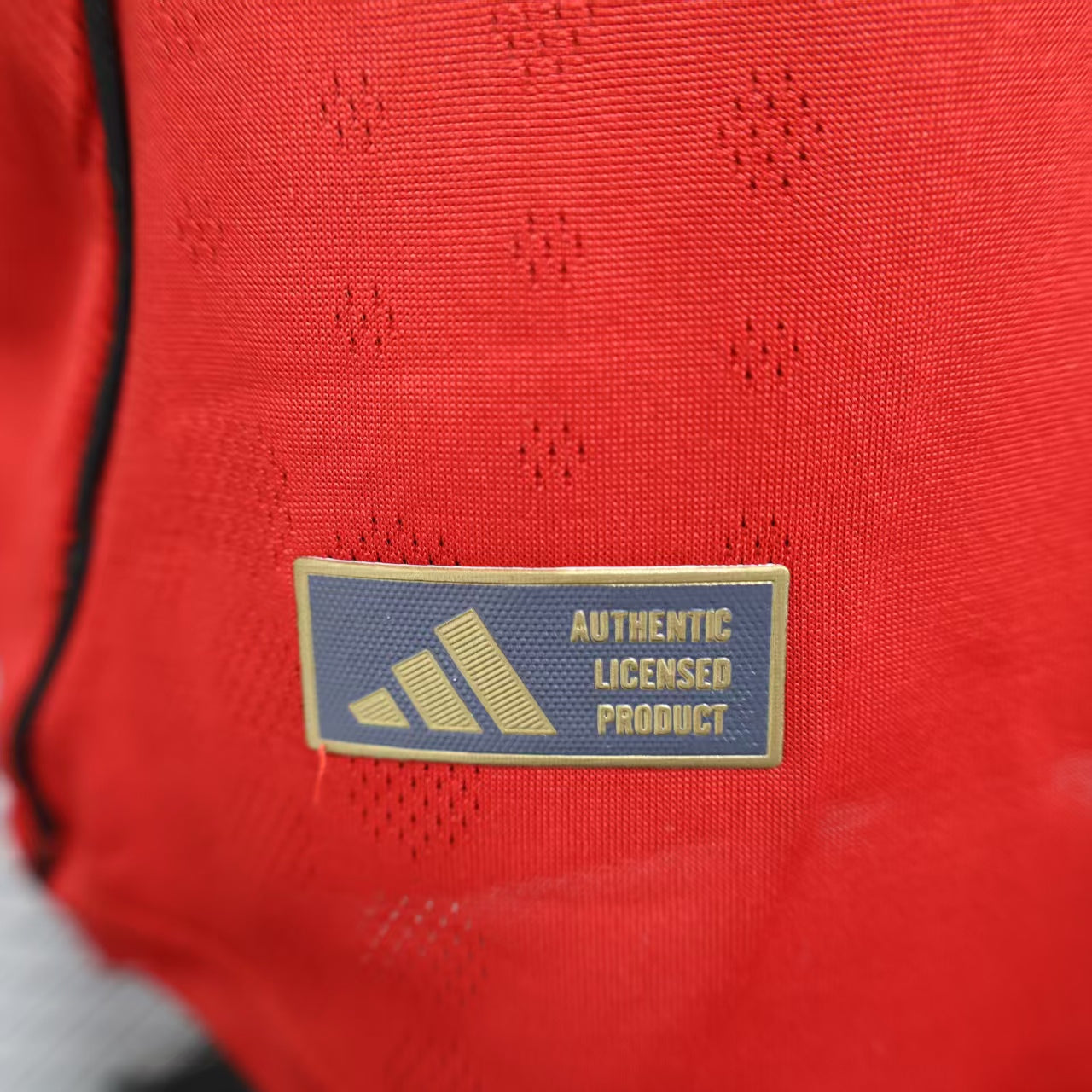 Manchester United 25-26 Home Jersey