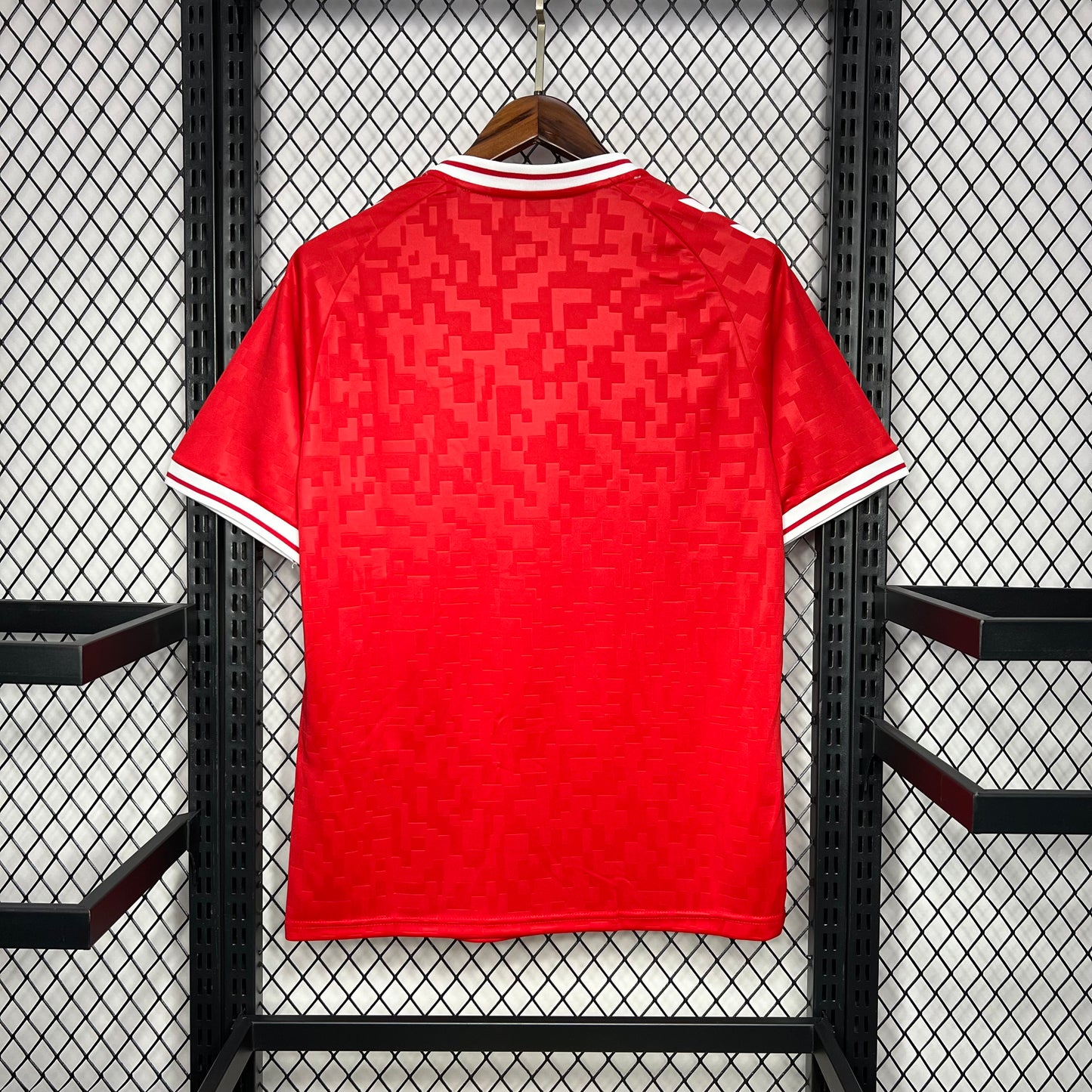 Denmark 24-25 Home Jersey