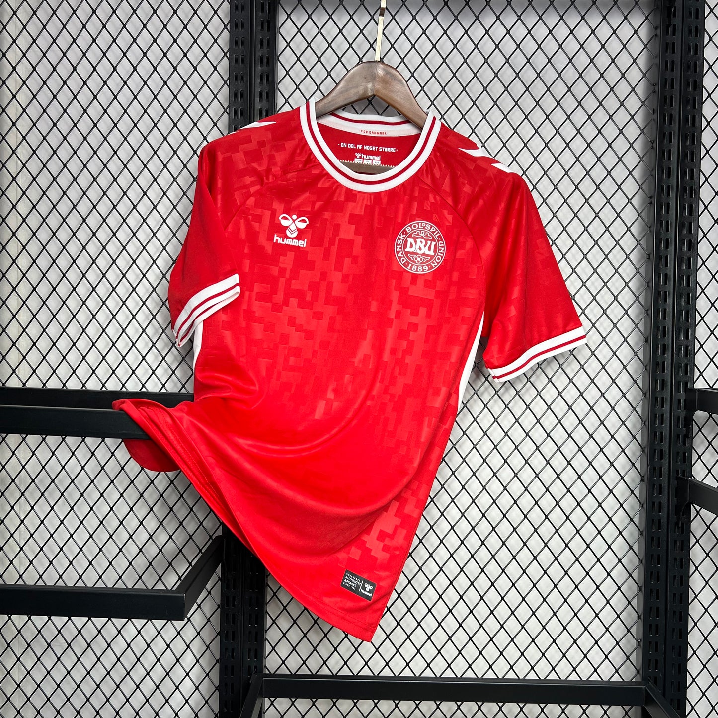 Denmark 24-25 Home Jersey