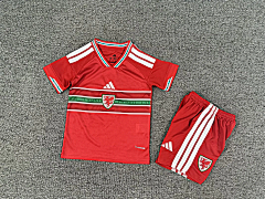 Wales 25-26 Home Kid's Kit
