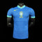 Brazil 24-25 Away Jersey