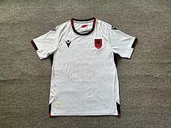 Albania 24-25 Away Jersey