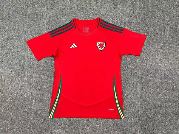 Wales 24-25 Home Jersey